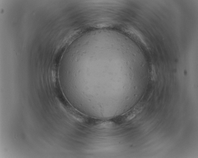 X0000075860210200610061945