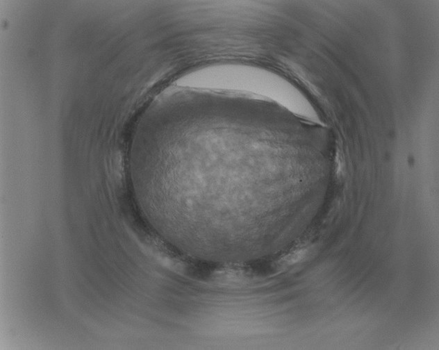 X0000075860211200610061945