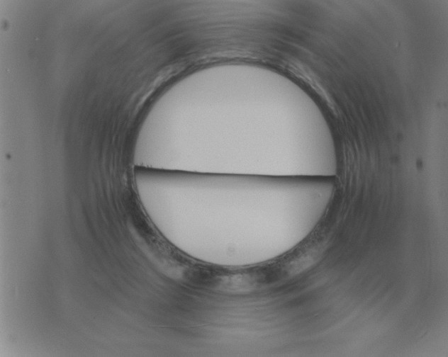 X0000075860212200610061945