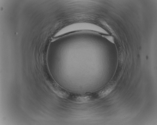 X0000075860213200610061945