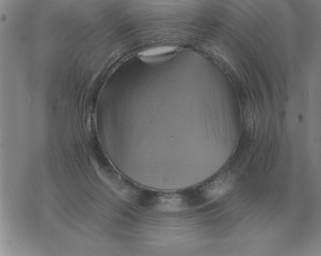 X0000075860214200610061945