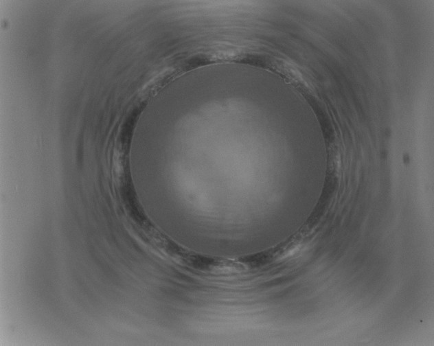 X0000075860215200610061945