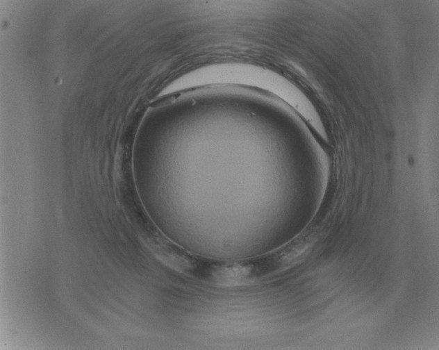 X0000075860217200610061945