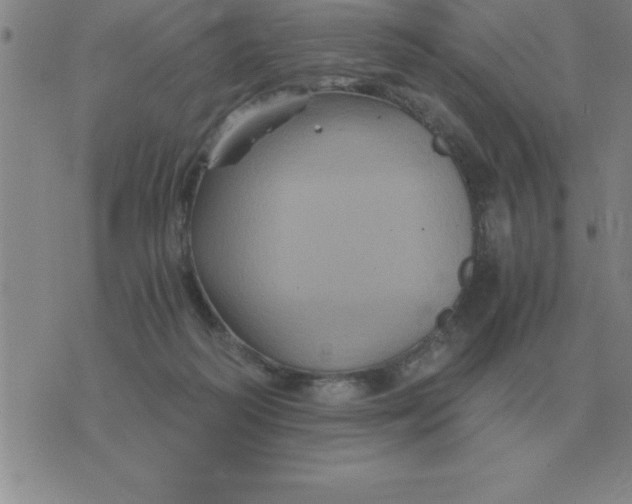 X0000075860218200610061945