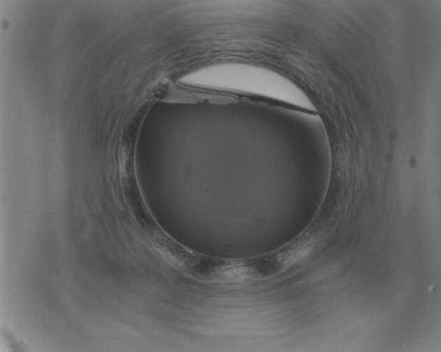 X0000075860219200610061945