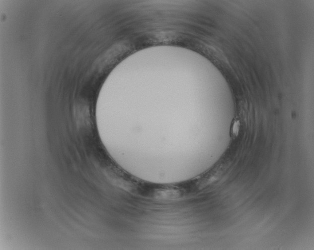 X0000075860220200610061945