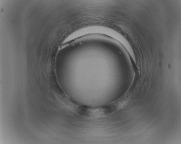 X0000075860221200610061945