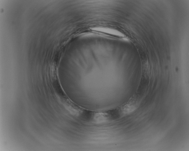 X0000075860222200610061945