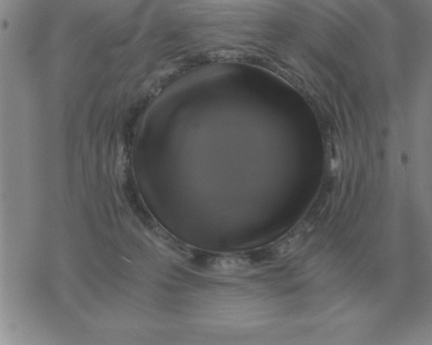 X0000075860223200610061945