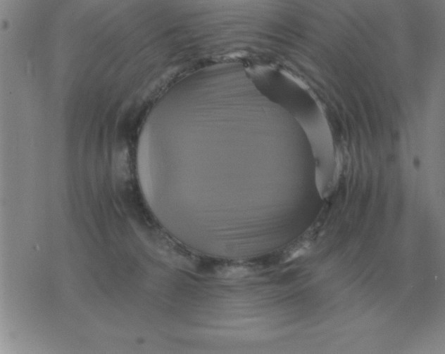 X0000075860224200610061945