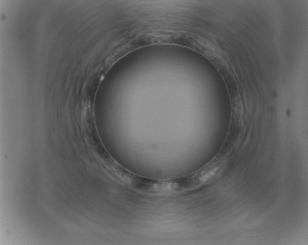 X0000075860225200610061945