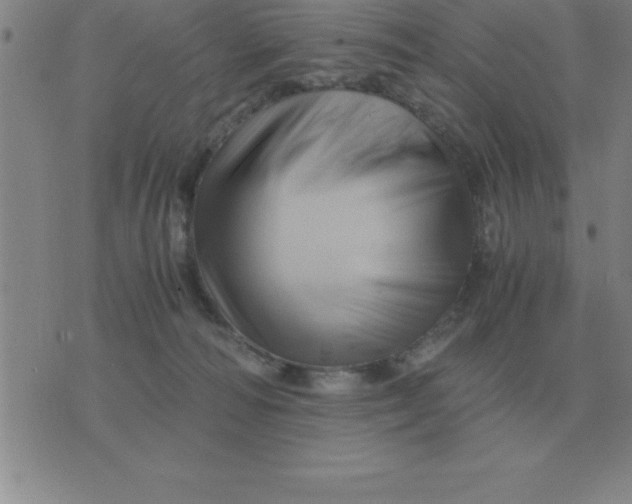 X0000075860226200610061945