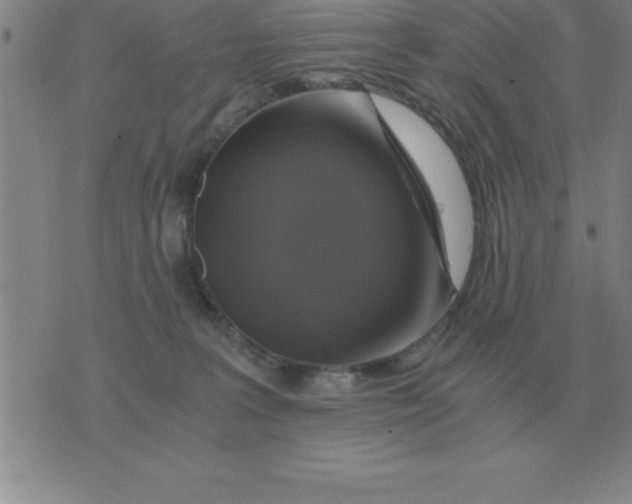 X0000075860227200610061945