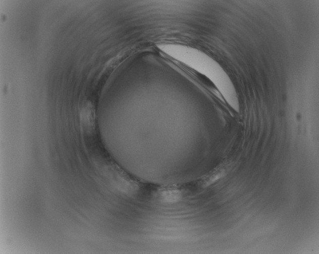 X0000075860228200610061945