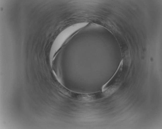 X0000075860229200610061945