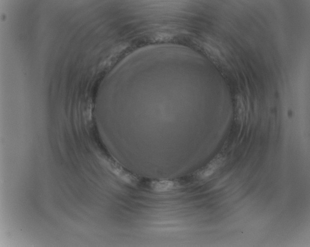 X0000075860230200610061945