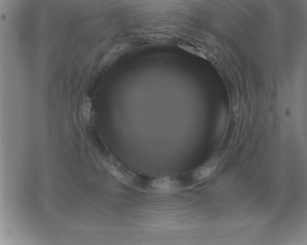 X0000075860231200610061945