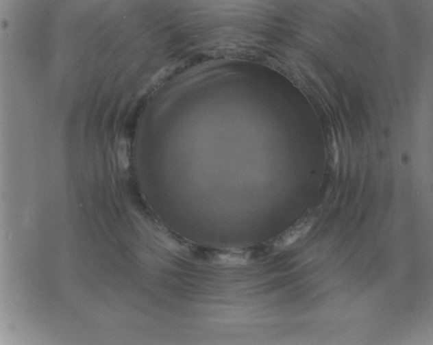 X0000075860232200610061945