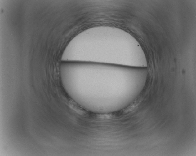 X0000075860233200610061945