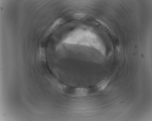 X0000075860234200610061945