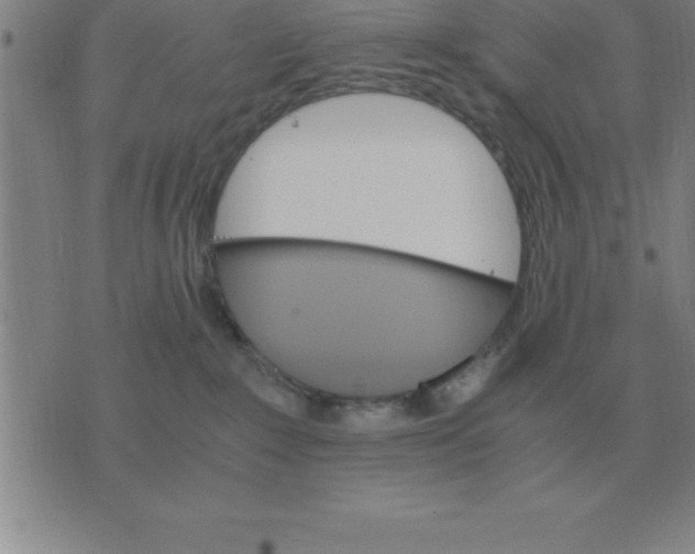 X0000075860235200610061945