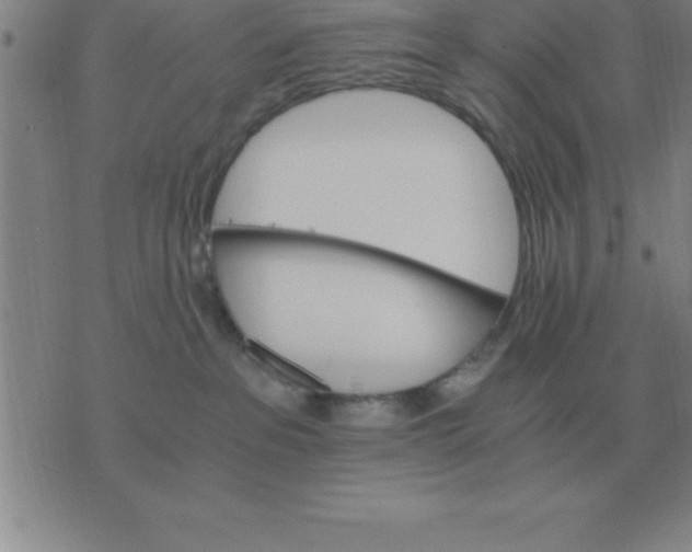 X0000075860237200610061945