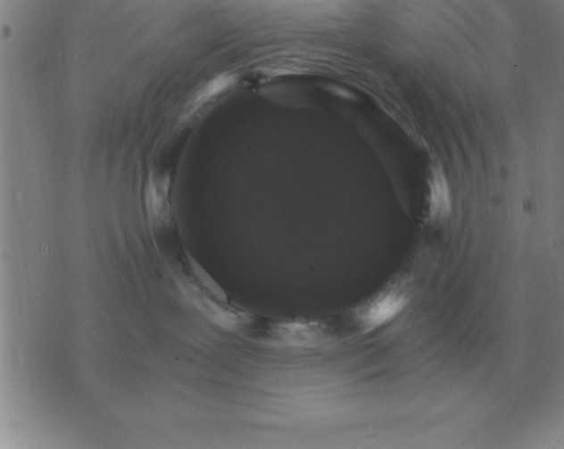 X0000075860239200610061945