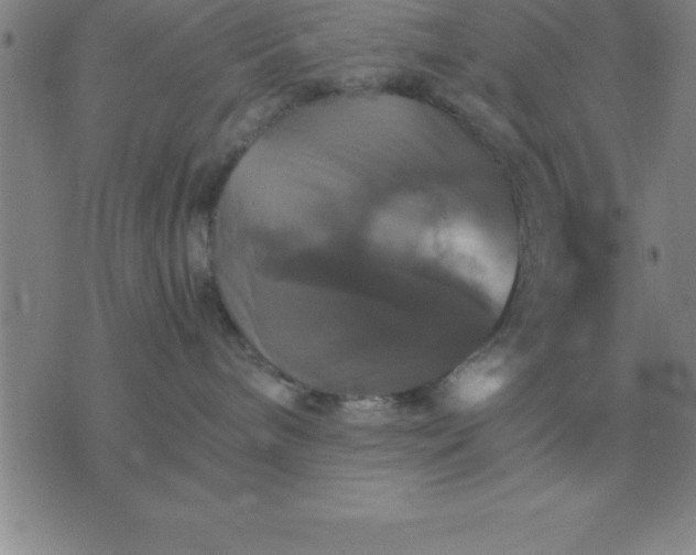 X0000075860240200610061945