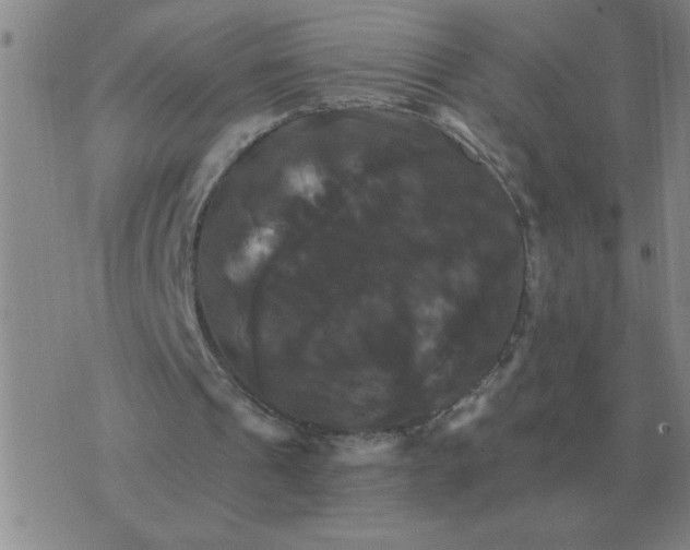 X0000075860241200610061944