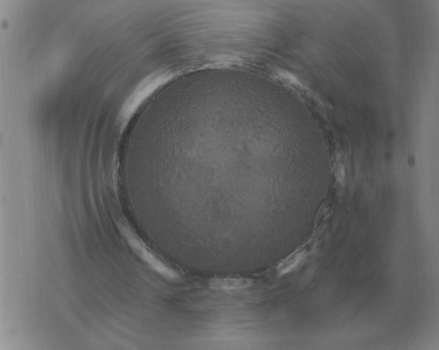 X0000075860242200610061944