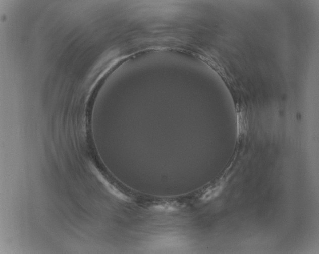 X0000075860243200610061944