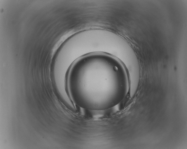 X0000075860244200610061944