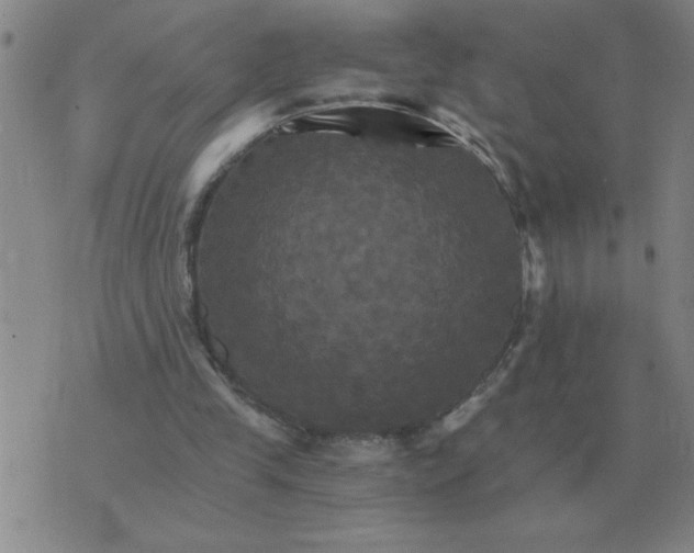 X0000075860245200610061944