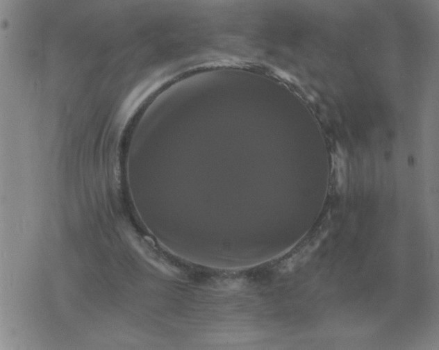 X0000075860247200610061944