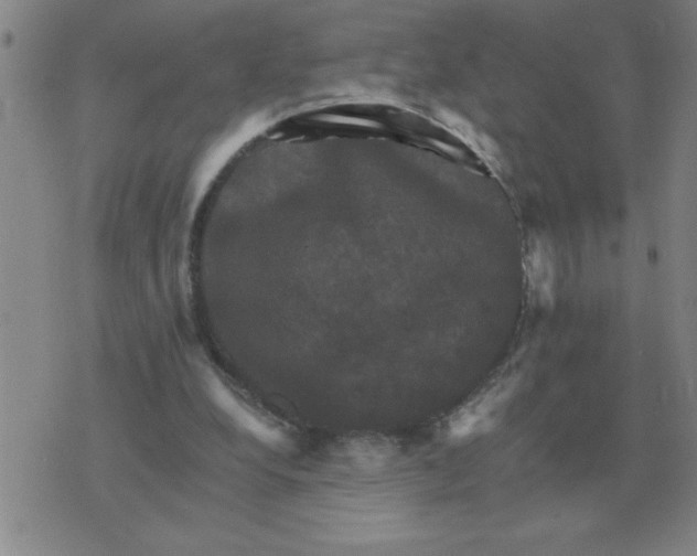 X0000075860248200610061944