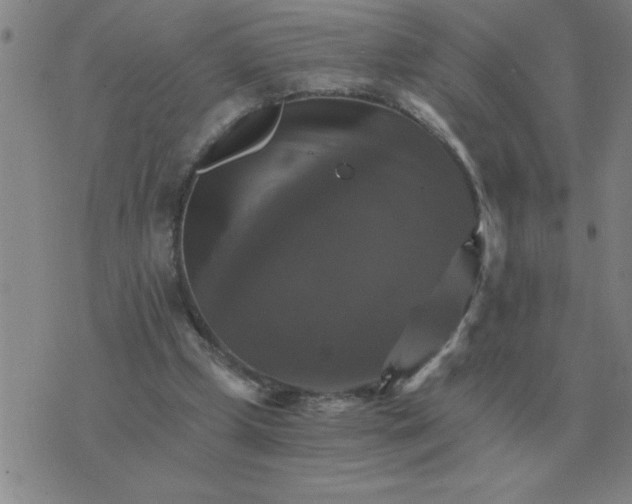 X0000075860249200610061944