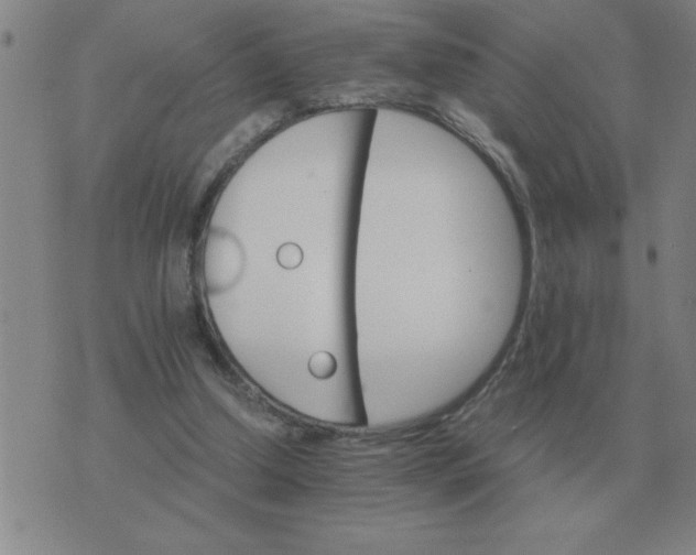 X0000075860250200610061944