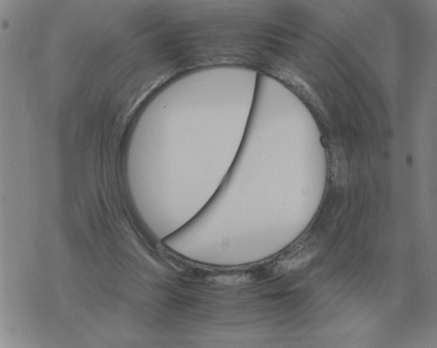 X0000075860251200610061944