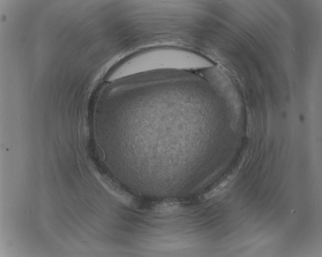 X0000075860252200610061944