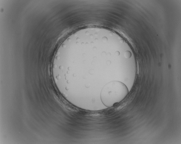 X0000075860253200610061944