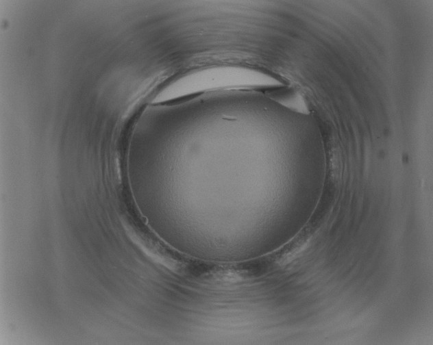 X0000075860254200610061944