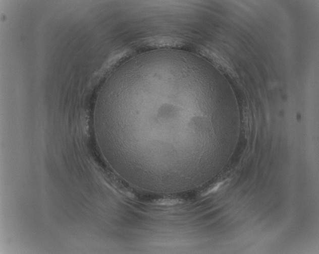 X0000075860255200610061944