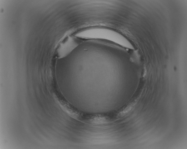 X0000075860256200610061944