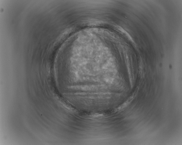 X0000075860257200610061944