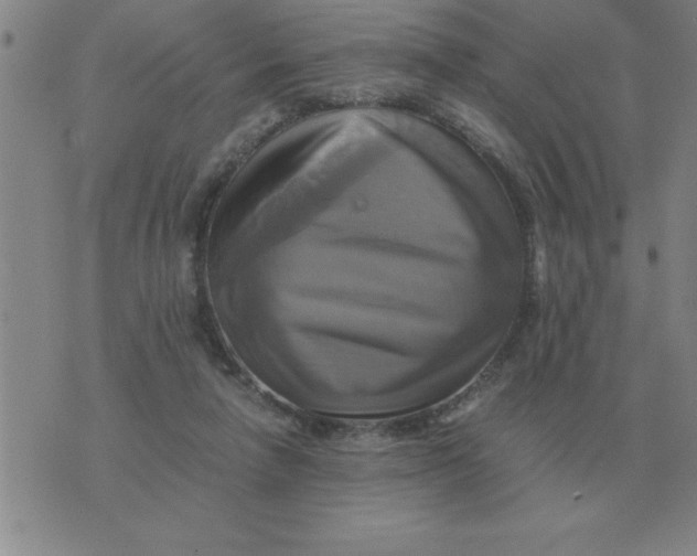 X0000075860258200610061944