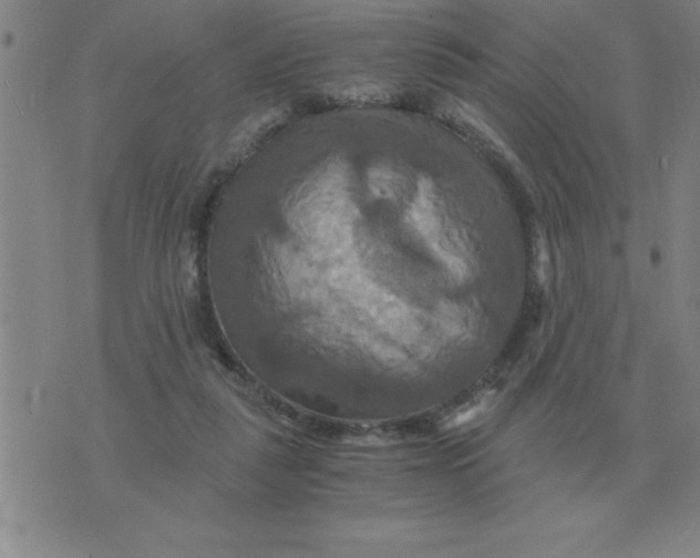 X0000075860259200610061944