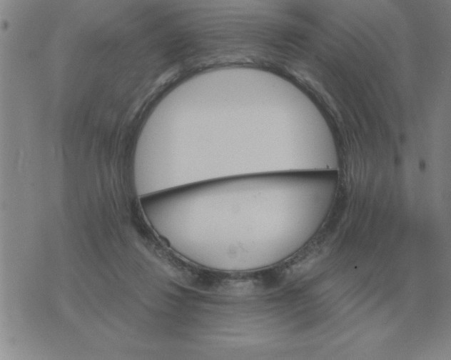 X0000075860260200610061944