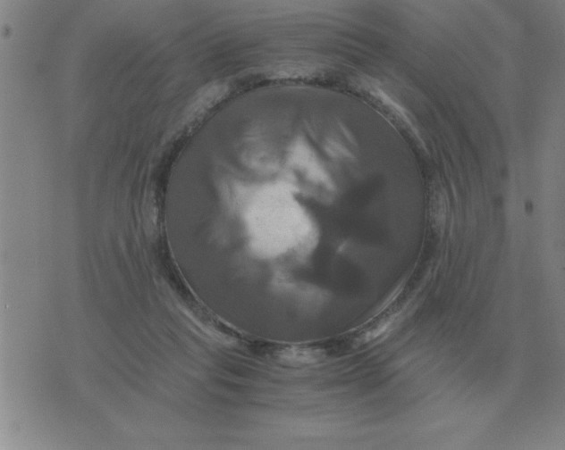 X0000075860261200610061944