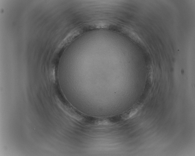 X0000075860262200610061944