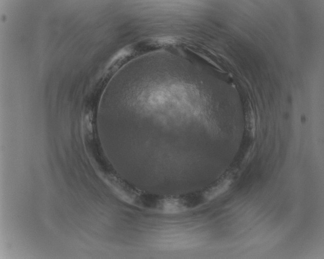 X0000075860264200610061944